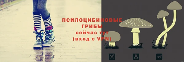 эйфоретик Алексин