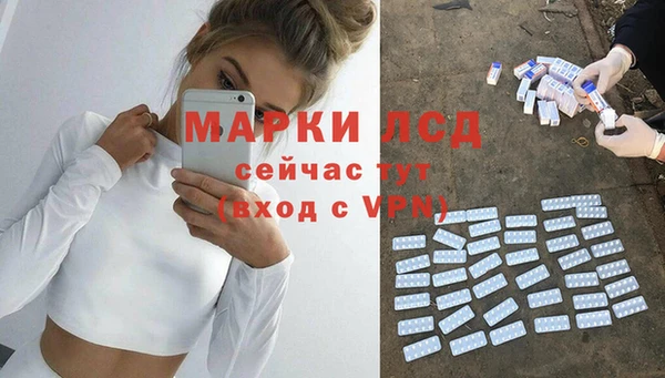 стафф Алзамай